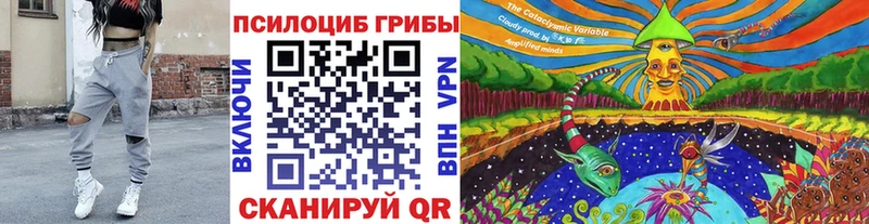 Псилоцибиновые грибы мицелий  Пушкино 